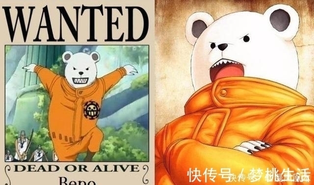 佩德羅|海賊王 5只月亮獅子帥氣, 佩德羅霸氣, 加洛特高冷, 貓蝮蛇肥壯