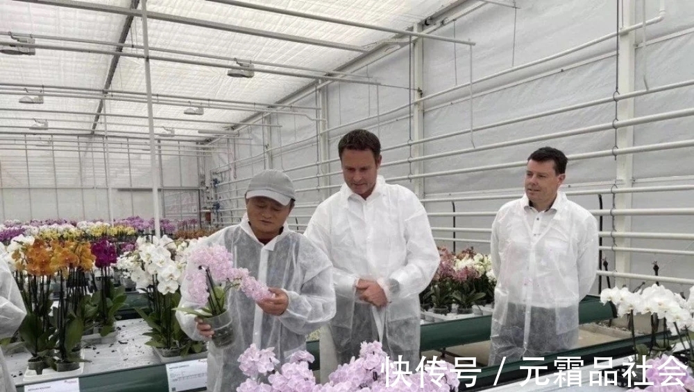 社区|不再惦记几捆白菜?人民日报再次肯定阿里,马云你真有一套!