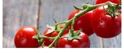 鞣酸|八个月宝宝添加辅食了,总是便秘,每天两次水果,苹果、香蕉橙子都吃,怎么办?