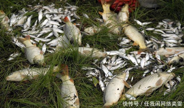 举报|全国多地区禁钓，钓友议论的却是“电鱼”为什么不管