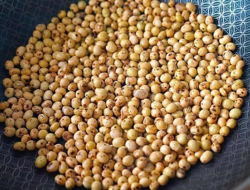 糯米糍粑不用买，一斤糯米粉做一盘，随取随吃特方便，日常小零食