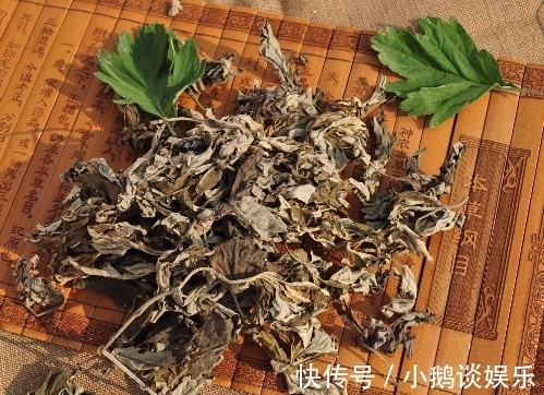 女人|女人睡前把“艾草”敷肚脐上,半个月后,3个惊喜变化不请自来