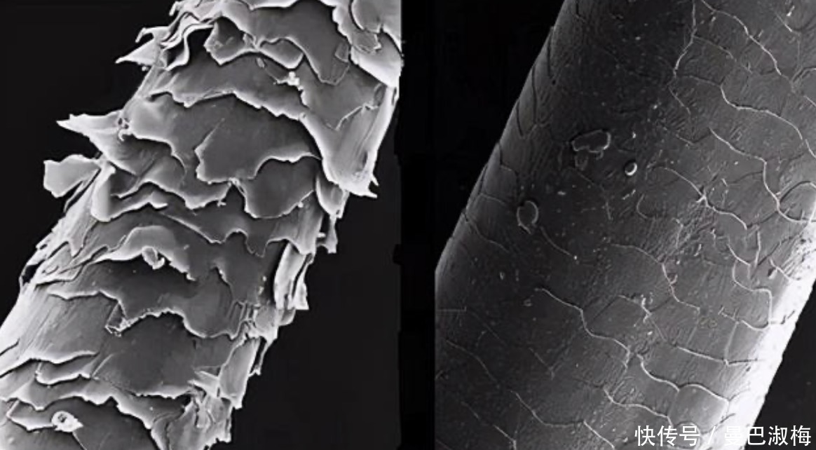 为什么头发每天一洗还很油,多久洗一次才好?原来这么多年都错了