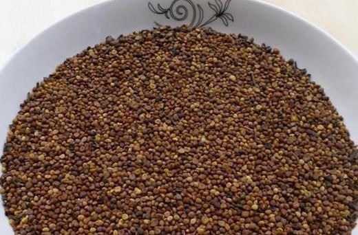 中药|下面腰酸+上面耳鸣=肾虚推荐一味中药,效果令人不可思议