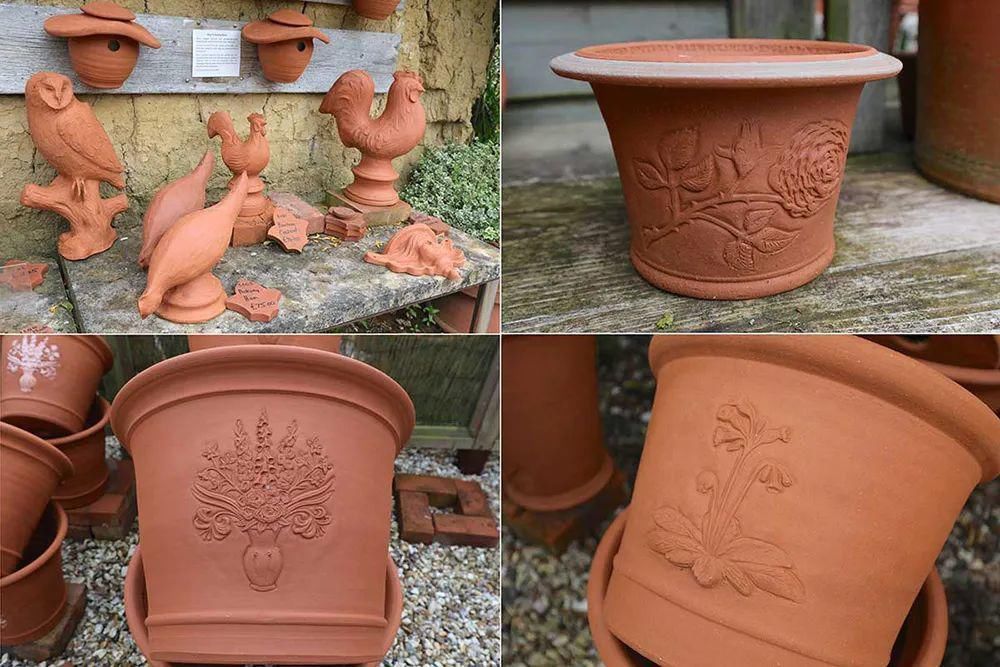  看完这个，想把家里花盆丢了