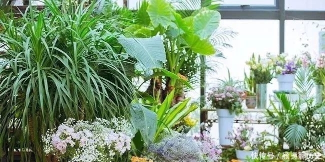 中老年人适当懒一点更长寿!