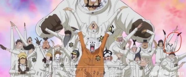 海贼王|可爱萌宠,海贼王中4只会说话的动物,乔巴赏金还是最低!