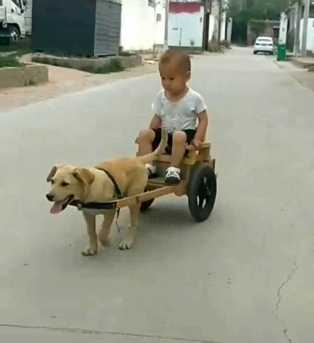 木头|有个“手工爷爷”是什么体验?木头做的玩具,外出还有木轿子坐