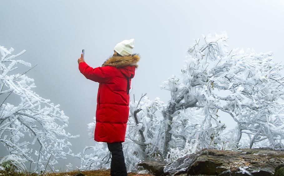 景区|大明山冰雪世界吸引了太多人，已经连续两天提前叫停售票！人满为患