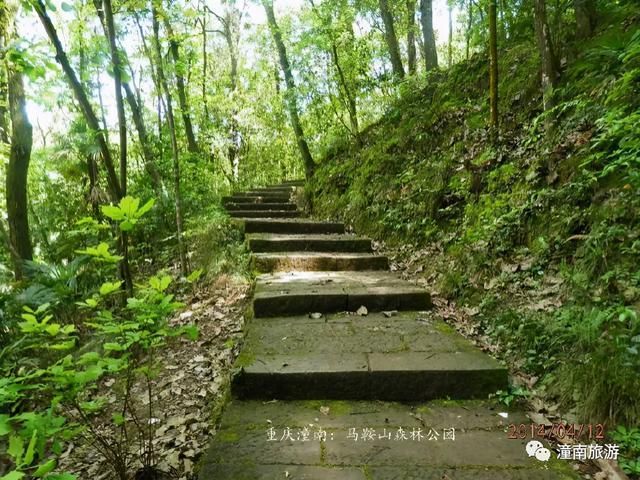 五桂山|美!陈抟山即将迎来大变化!还有这些名山，藏着潼南最美的夏天