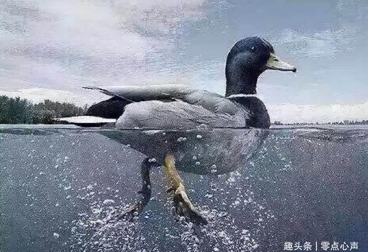 年龄|请别在给孩子立规矩的年龄,和他做朋友!6岁前父母最该管这5件事