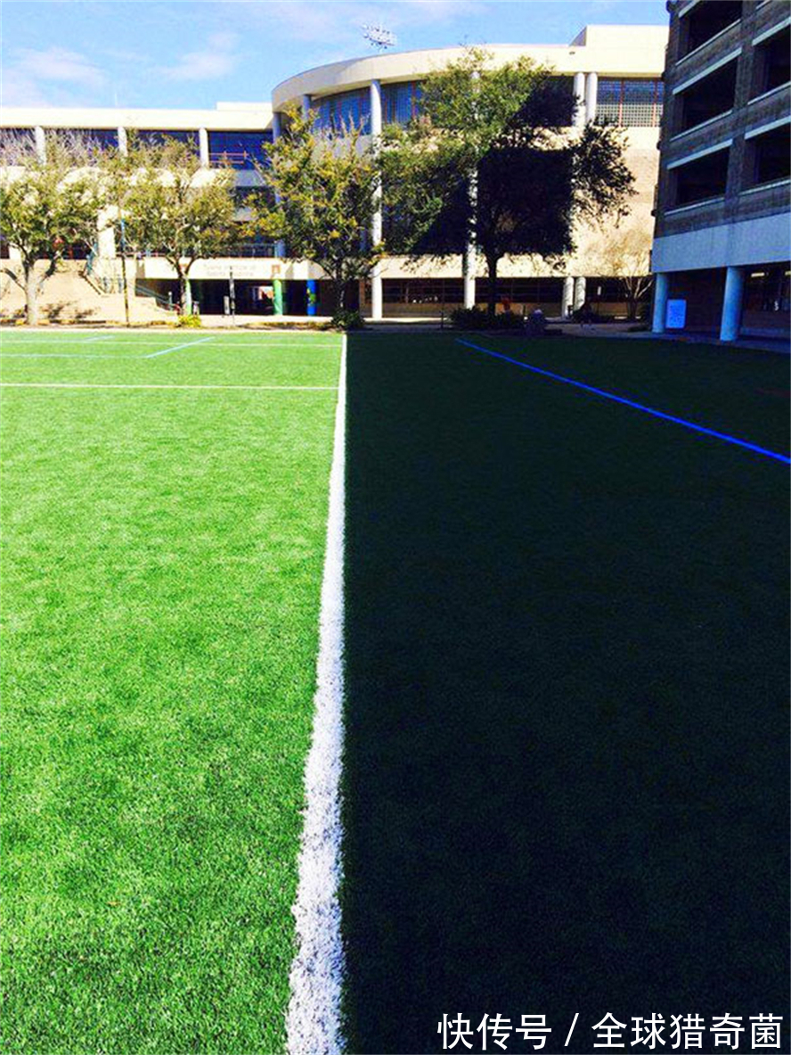 摄影|35张“活久见”的完美图片,强迫症瞬间被治愈了