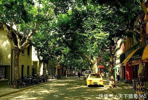 上海这条街道 充满书香 历史和潮流交融！