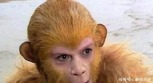 猴子|孙悟空的前身是什么并非猴子,你听镇元子说了什么