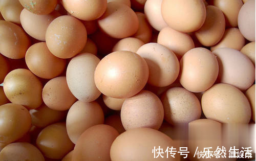 冰箱|放冰箱后的鸡蛋不好吃教你简单一招,天天都能吃到鲜鸡蛋!