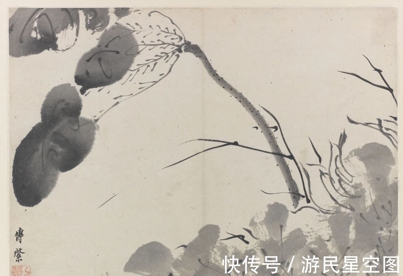 津门&「津门网」见画如见字、见字如见人,看这组清新的荷花您有啥感受