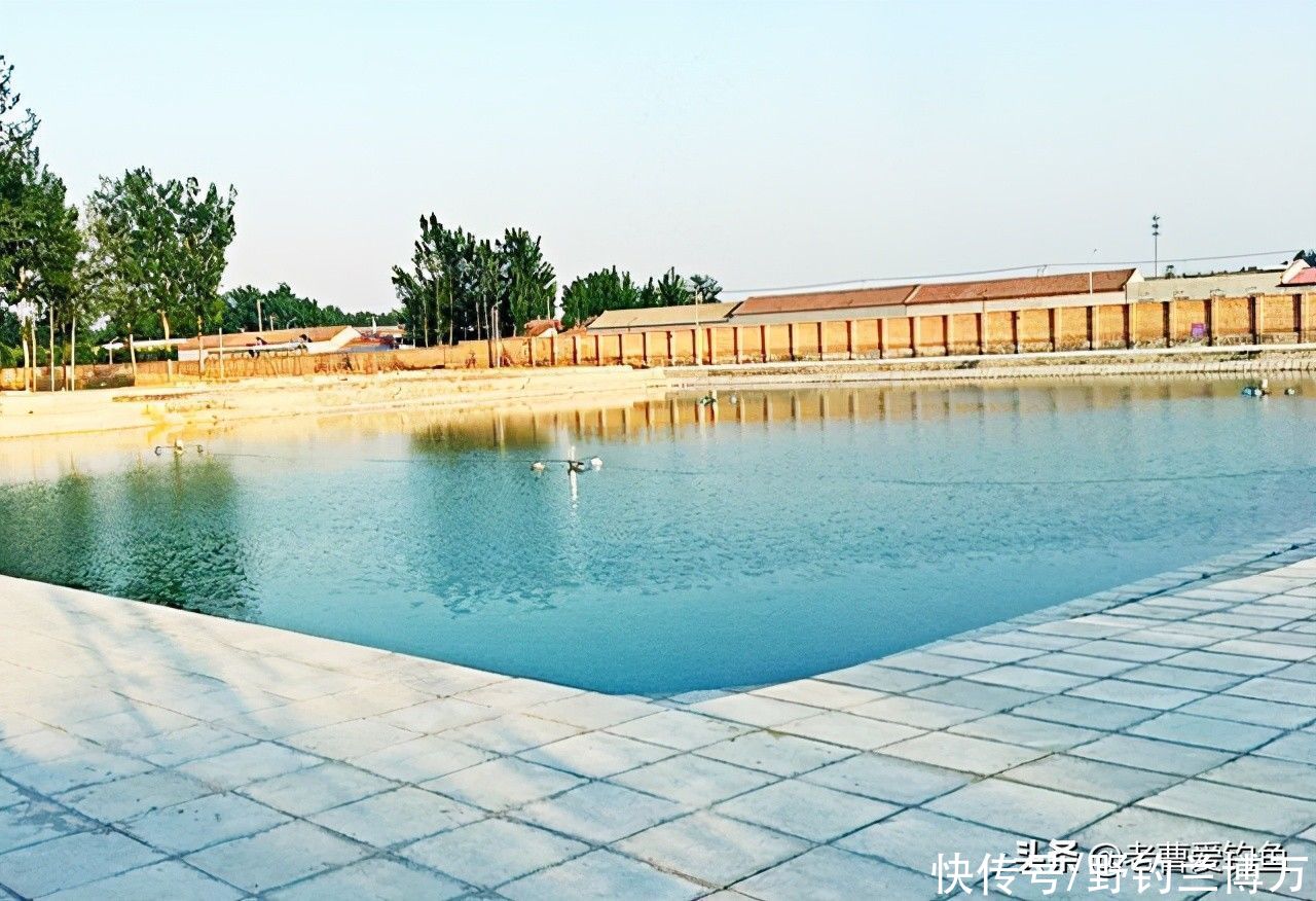 鱼塘|钓场名叫在水一方，朋友建议：要么改名要么关门