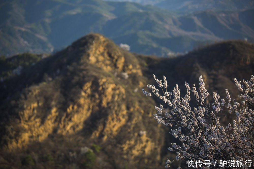 万里长城，金山独秀：10.5km金山岭长城，中国十大赏秋地