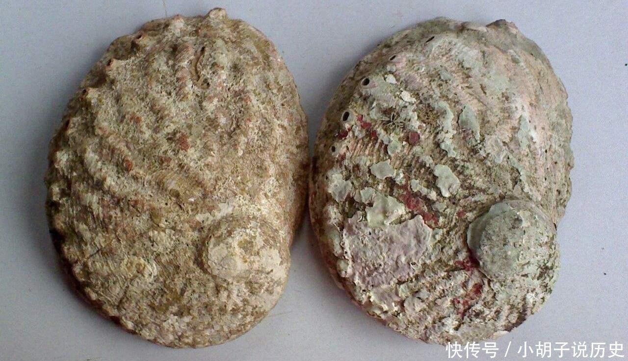 宝贝|垃圾堆里藏着的“文玩”,普通人的垃圾,文玩人的宝贝