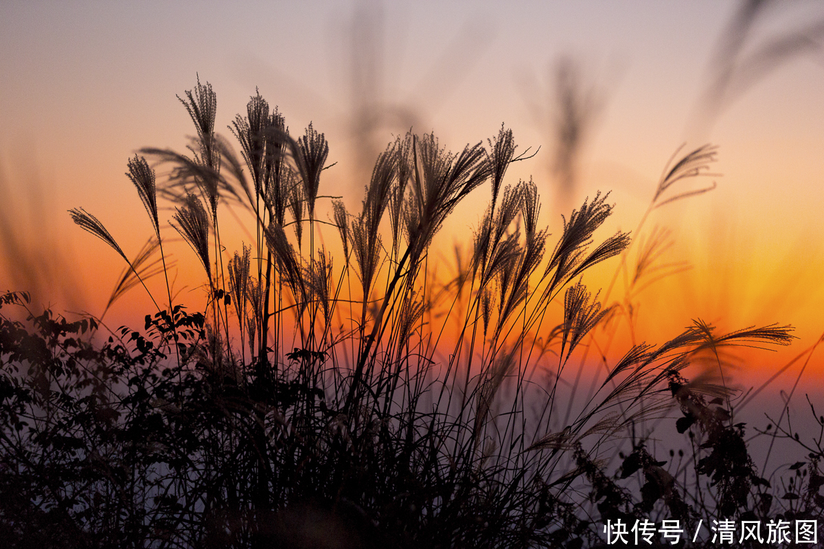 绝佳|武汉的最高点，曾经的西峰古寨，今日大家观日出的绝佳处