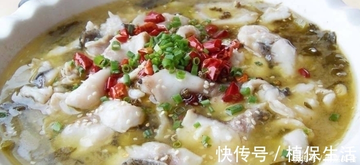 色拉油|老婆拿手的几道美味下饭菜，简单易做，好吃开胃，总有你喜欢的