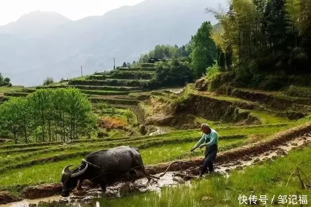 梯田|观老庄堂美景，探邹法灵公传说