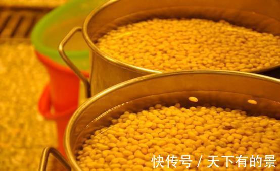 小技巧|费钱买肥养花,不如学会这些小技巧,自制肥效果一样棒