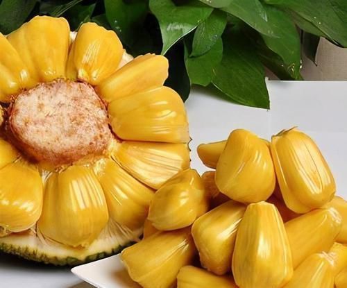 3种补肾食物,老中医家中常备,男人想补肾家中要多“囤货”