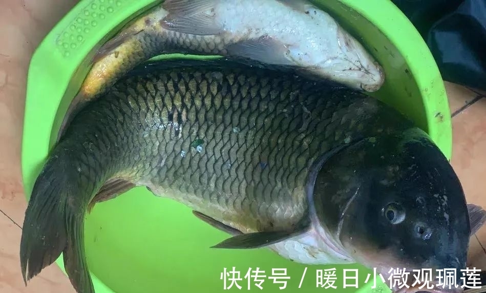 深水|晚上鱼口一定好？难怪你经常空军，夏季夜钓有“四不钓”