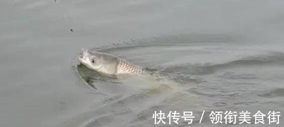 钓鱼10多年,才知道正确的跑铅钓是这样的!