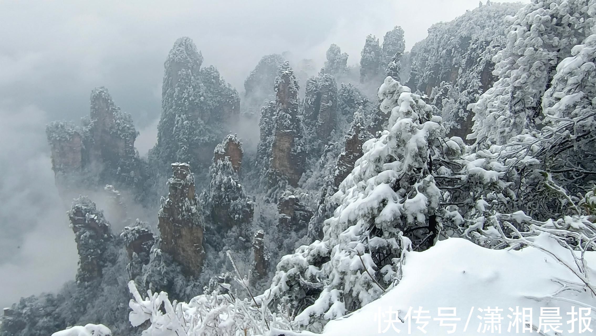 袁家界|张家界景区：大年云雪美景醉游人