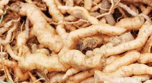 糖尿病患者|糖尿病患者的“福音”,饭后喝一杯,平稳血糖不升高,比胰岛素强