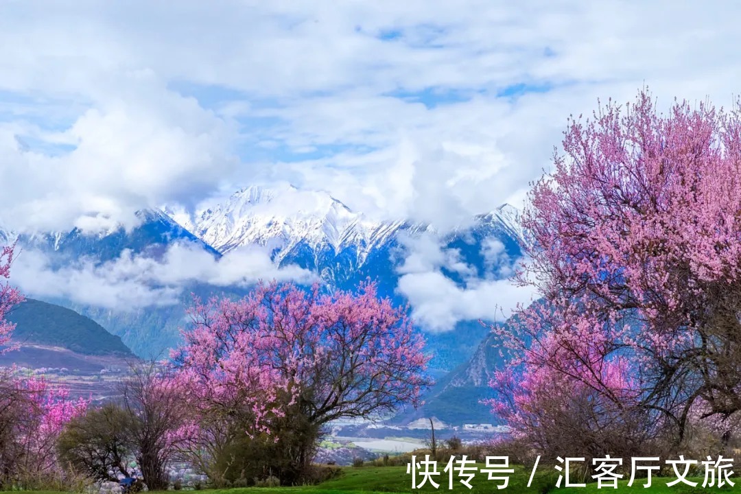 雪山|春天,让人憧憬的旅行目的地,莫过于去林芝看桃花!