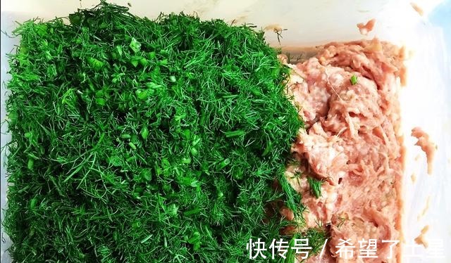 五香粉|朋友来我家点名要吃这馅的包子,肉馅鲜香软嫩,皮薄馅大!