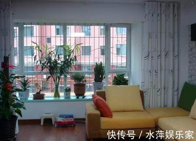 电线|家中的“旧电线”别乱丢,往盆里埋一点,花卉都喜欢,爆盆不止!