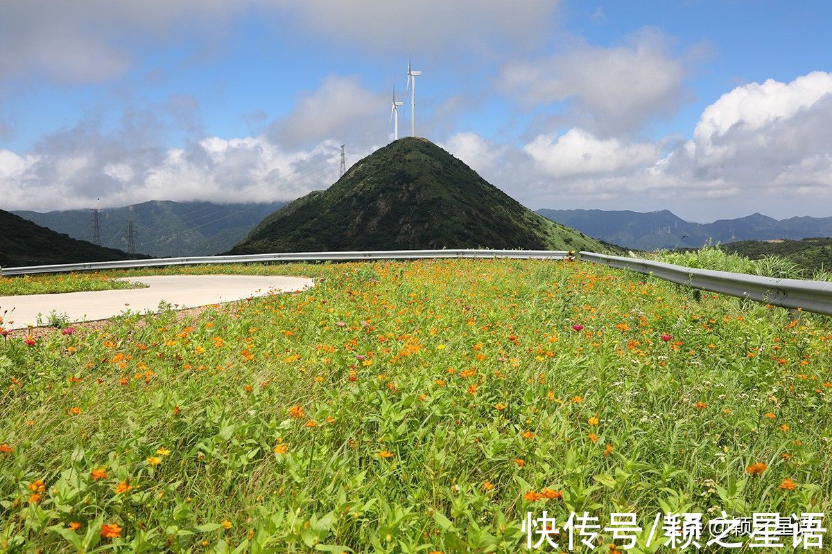 东盘山|福泉山漫山芦花消失，幸好还有东盘山，宁波唯一的高山草甸风光