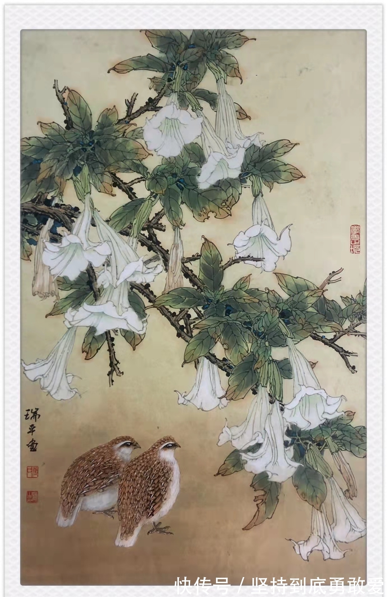 艺术&张瑞平的工笔花鸟画