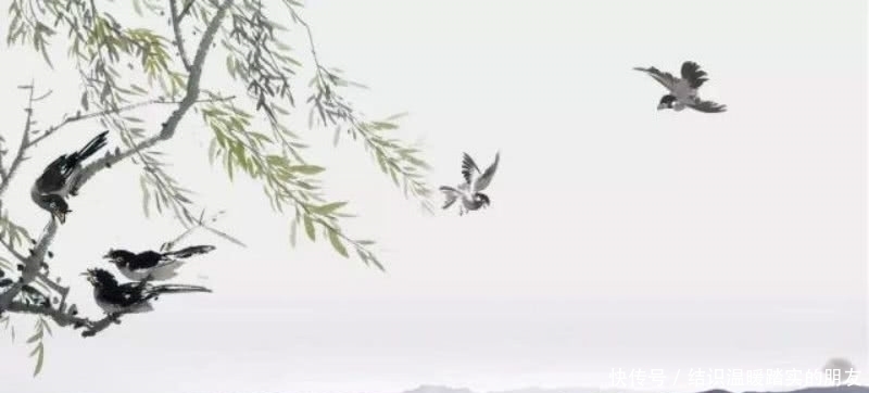 名篇&杨万里最经典的一首诗,每年收录进课本,每读一次都有不同的感悟