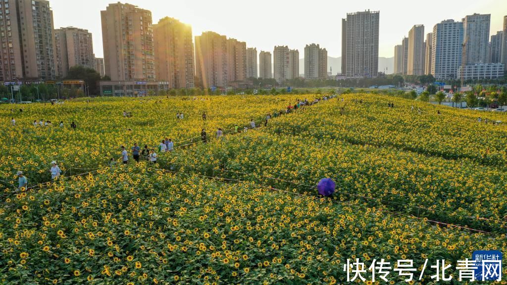 乐享假期|走到户外 乐享假期