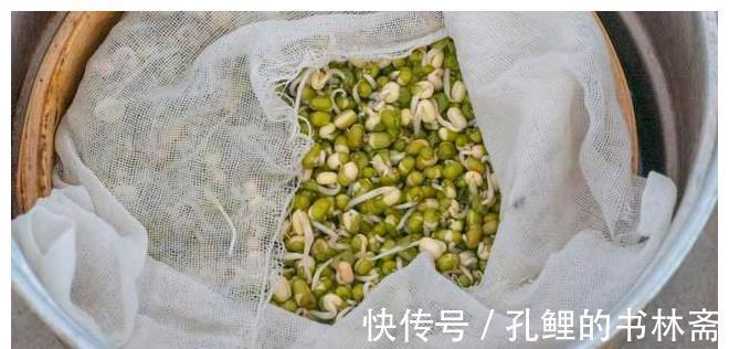 绿豆|在家发豆芽原来这么简单,又粗又嫩不会烂,做法超简单,4天开吃
