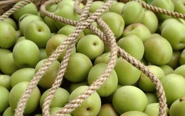 以下几种食物经常吃，美容养颜抗衰老，美白淡斑精神好