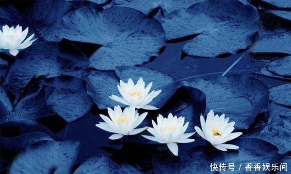 朱自清真是新文学的散文大师吗?余光中:浅白、累赘,够不上大师