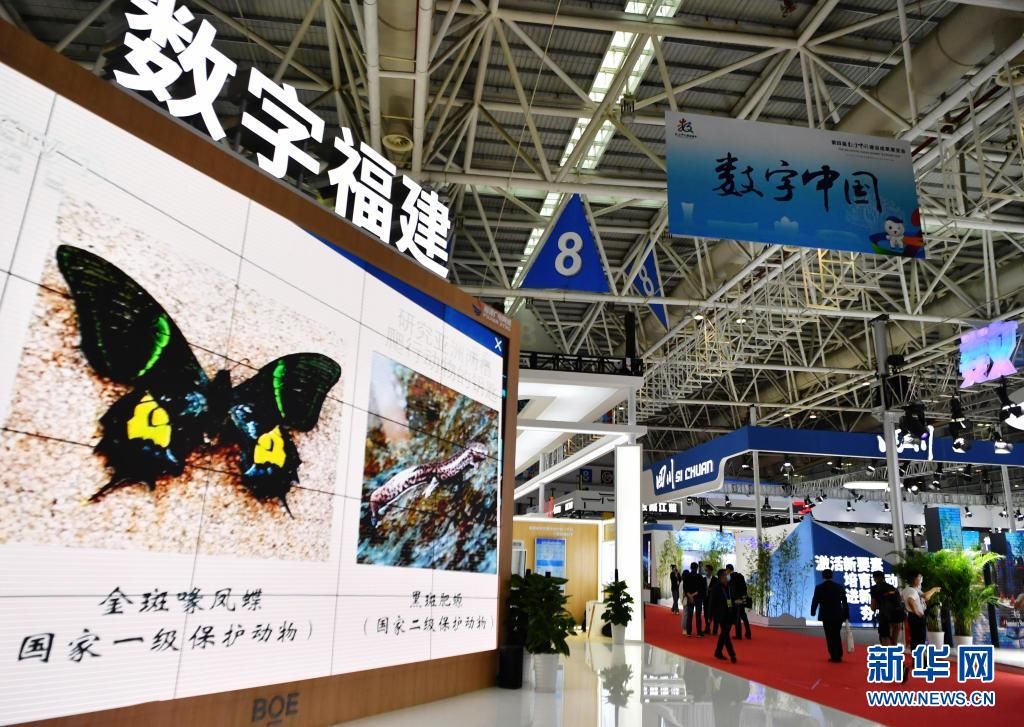 宋为伟|奋斗百年路 启航新征程·神州巡礼·图文互动丨福建：念好高质量发展的“山海经”