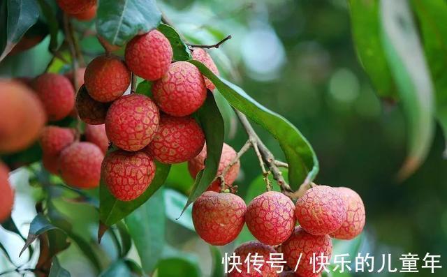 减肥|人到中年,不妨多吃3种食物,改善皮肤,减肥瘦身,早吃早好