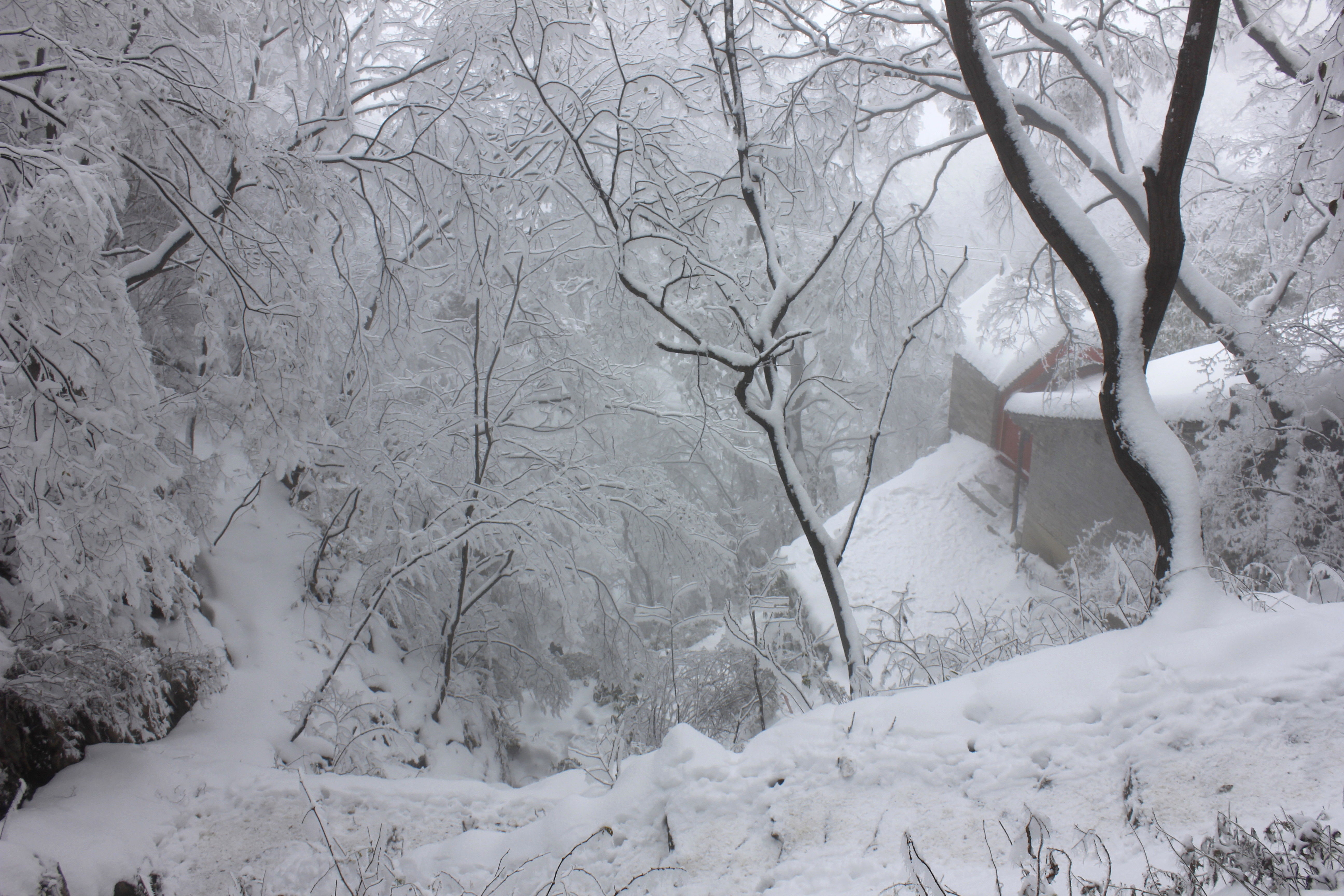 征集|【年末福利征集】雪后南五台幸遇云海