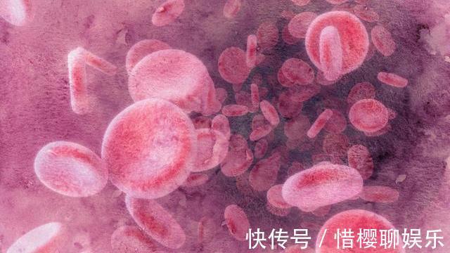 补钙|藏在身边的“补钙高手”，并非骨头汤，而是这4物，希望你爱吃