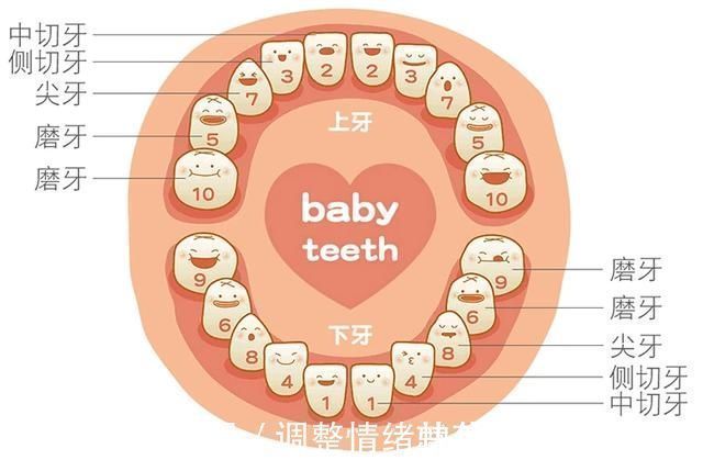 拔牙|原来门牙真的可以“笑”掉,男孩拔牙时头一抬门牙就掉了,一脸懵
