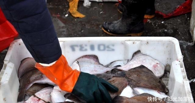 当地|在青岛秋收有很多海鲜,查一下当地纯野生家居用品海鲜