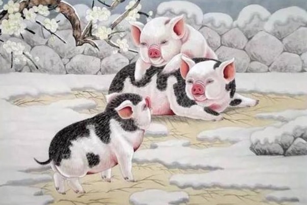 属兔|跟生肖兔天生一对,幸福到白头的生肖,老天爷都不忍心拆不散!