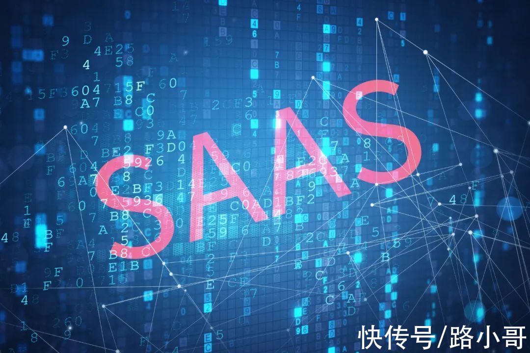 路歌|冯雷和他的运力花园（下）